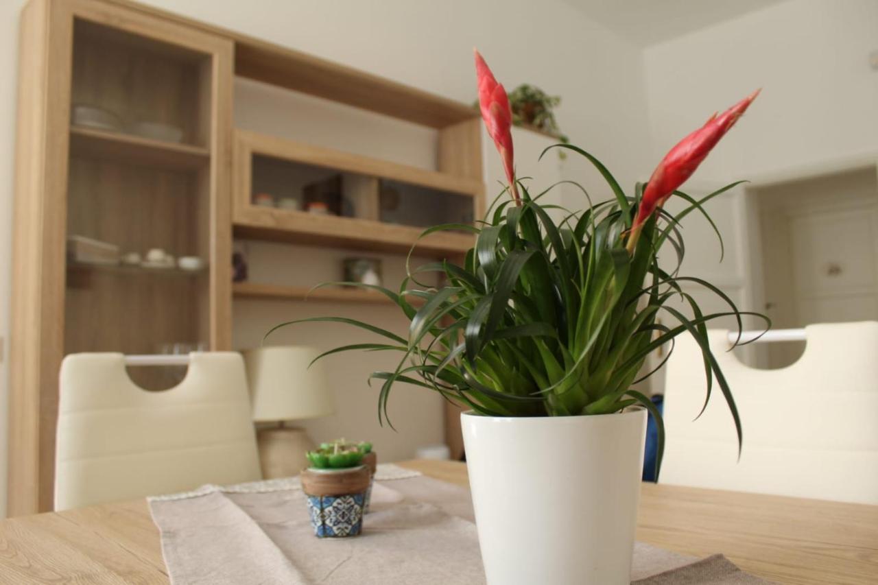 Ohana: Casa Nel Centro Di Lecce Kültér fotó